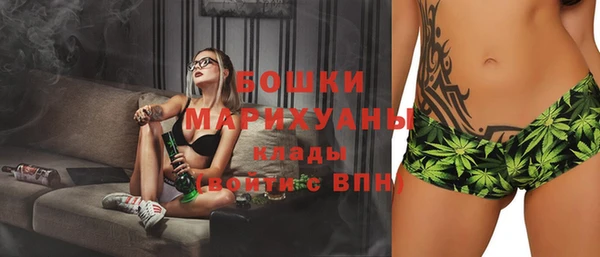 дмт Киреевск