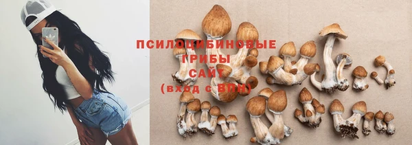синтетический гашиш Козловка