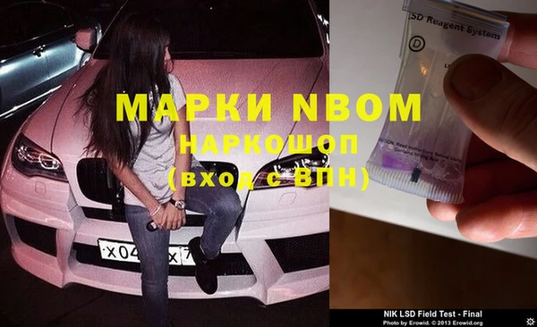 индика Ладушкин