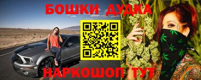 дживик Гатчина