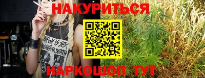 ALPHA PVP Гай