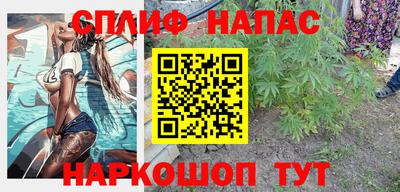 ALPHA PVP Гай
