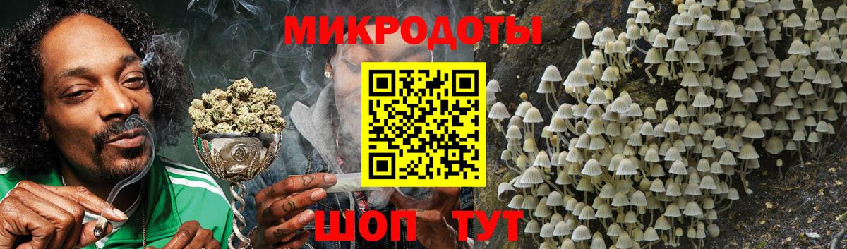 Галлюциногенные грибы Psilocybe Новоалександровск