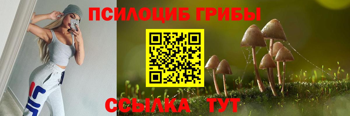 Псилоцибиновые грибы MAGIC MUSHROOMS  Вход с VPN  Новоалександровск 
